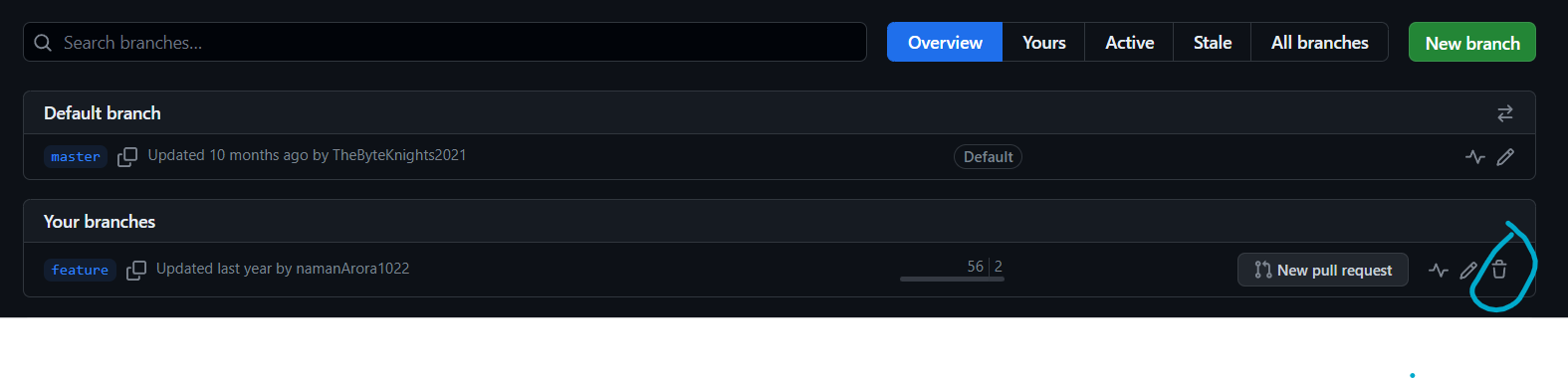 github delete branch
